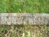 image of grave number 286056